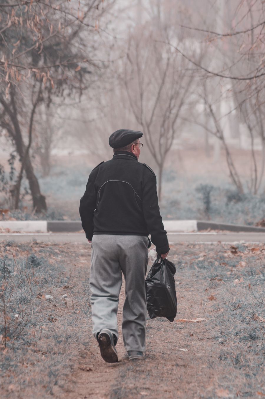 Man walking along a tree-lined avenue
