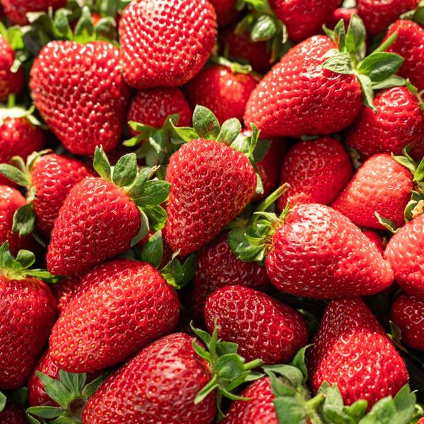 Strawberries in a punnet
