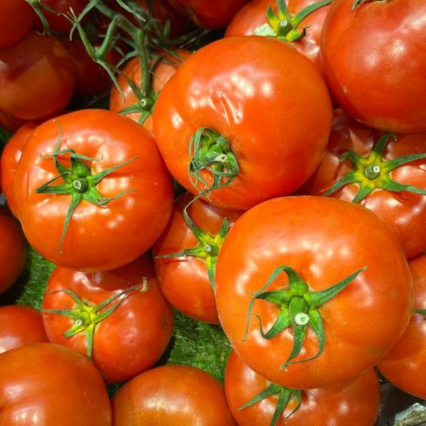 Ripe tomatoes on the vine